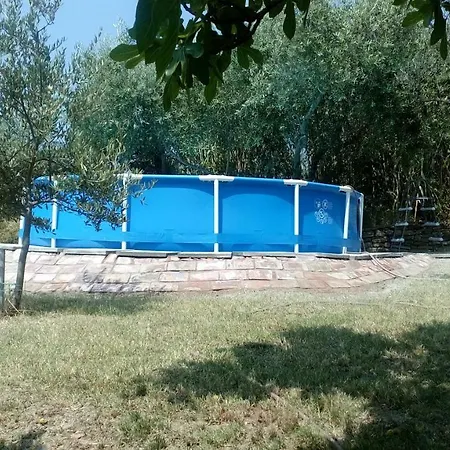 Tone Sečovlje